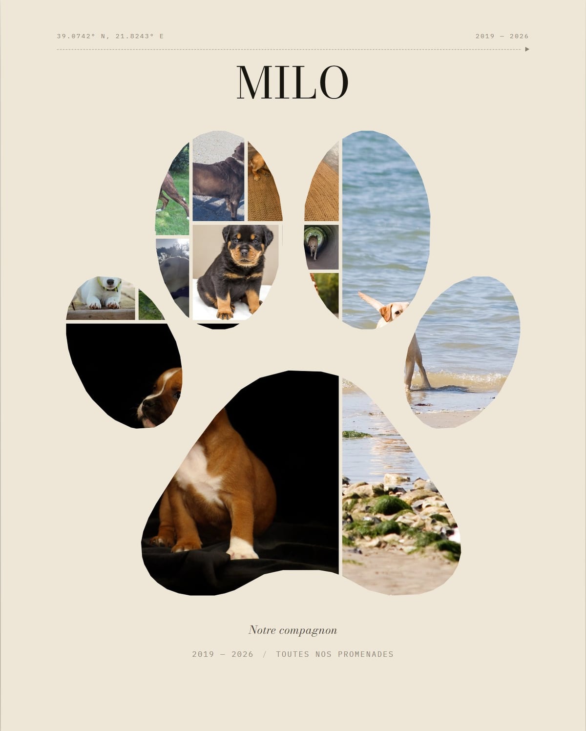 Affiche : patte de chien remplie de photos de chiens, titre MILO, sous-titre Notre compagnon, 2019 à 2026